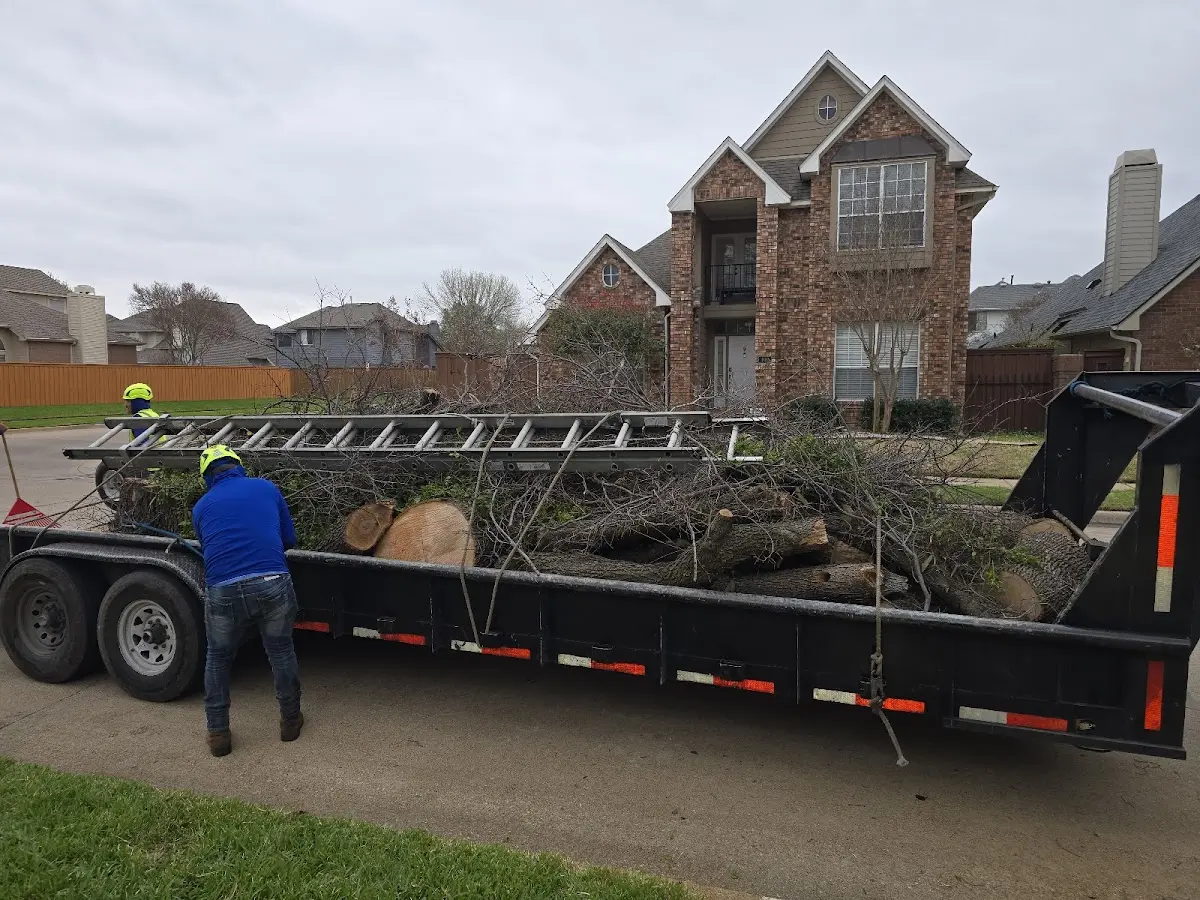 Expert Tree Fertilization with proper safety equipment in Mission Hill